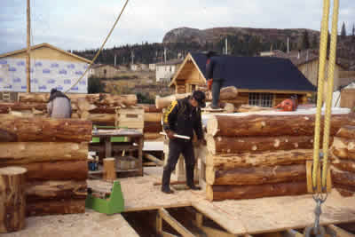 log notching